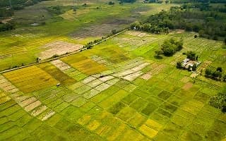 Tạo quỹ đất nông nghiệp ~1 triệu ha